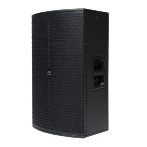 CELTO-15A CAJA ACUSTICA ACTIVA PLYWOOD  2VIAS 15"+ DRIVER 1.35" +1000W - 134DB SPL PEAK+ BT 5.0 TWS C/DSP  "L&N-AUDIO"